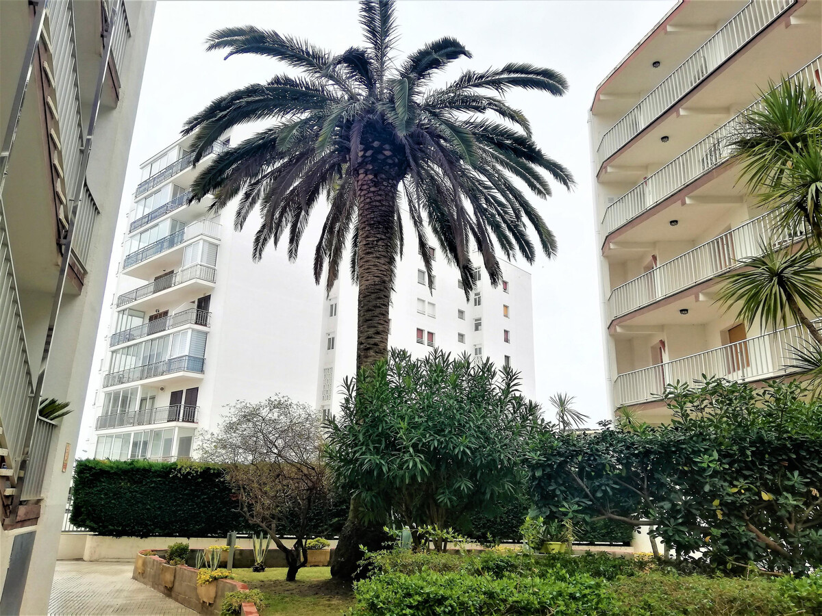 Appart 6 pers à Roses, 80m plage avec terrasse - Photo 25