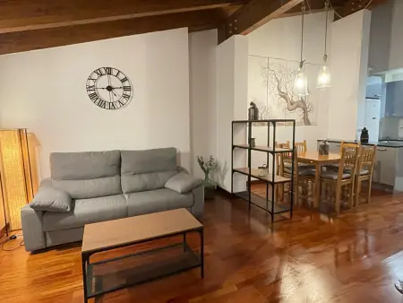 Penthouse au cœur de Jaca, 2 chambres + canapé-lit : photo 3