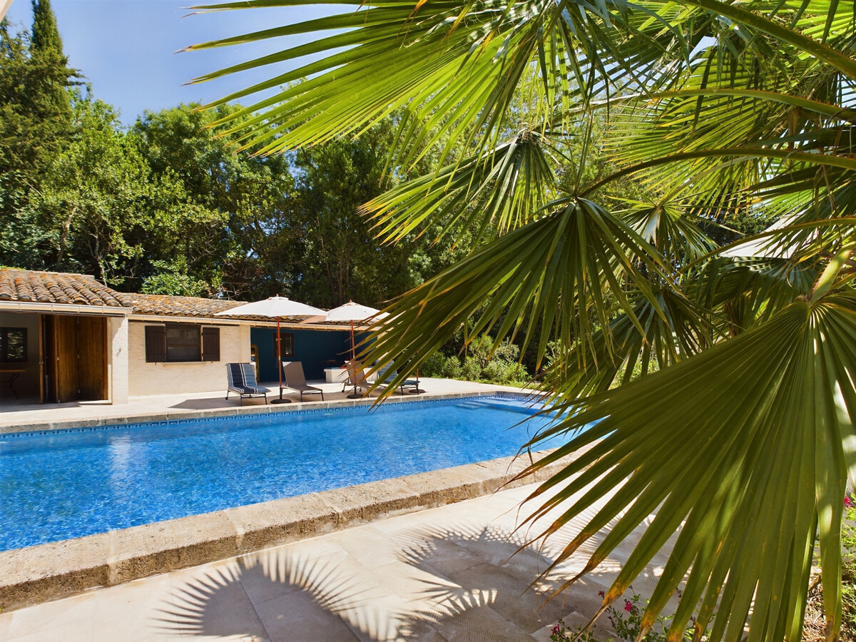 Mas provençal 6 chambres, piscine 15x6m et pool houses - Photo 5