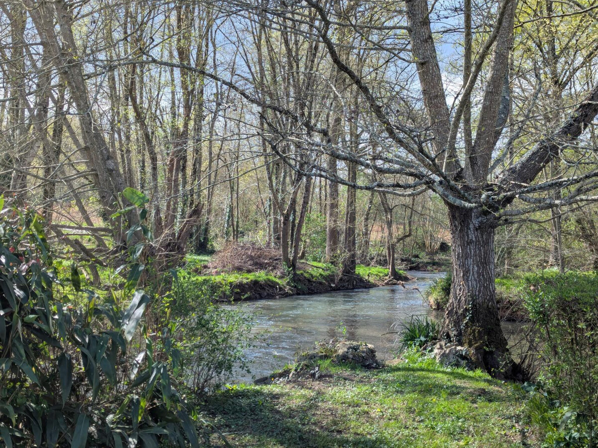 Gîte ancien moulin 11 pers., 1.5 ha de jardin à Saint-Mary - Photo 4