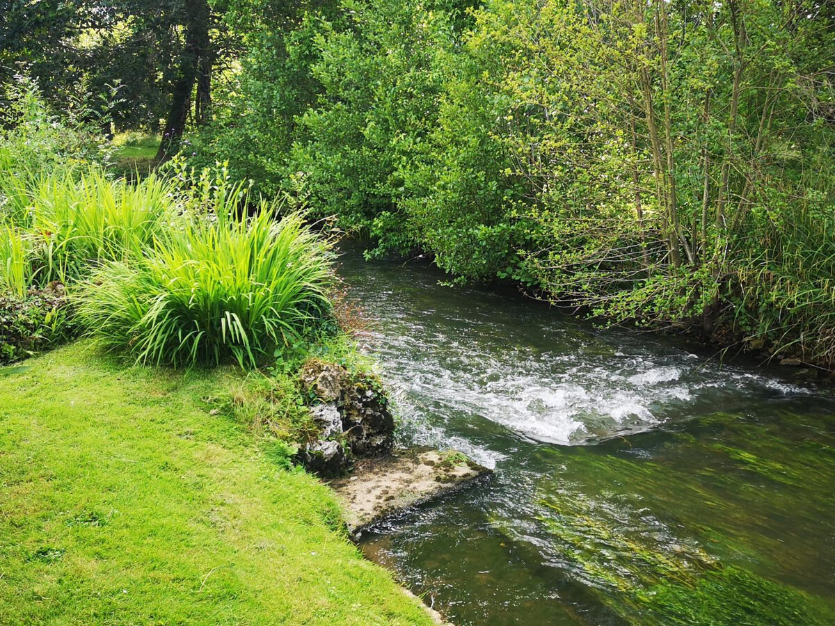 Gîte ancien moulin 11 pers., 1.5 ha de jardin à Saint-Mary - Photo 22