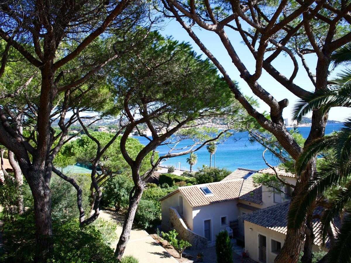 Villa 5 pièces + appart., piscine privée, vue mer à Sainte-Maxime - Photo 11