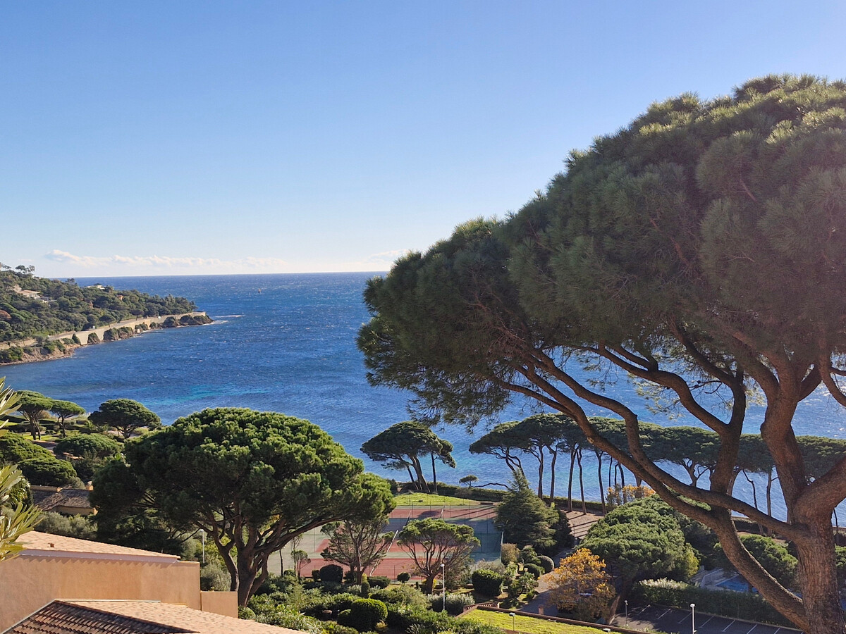 Triplex 4 pièces vue mer, piscine et parking à Sainte-Maxime - Photo 18