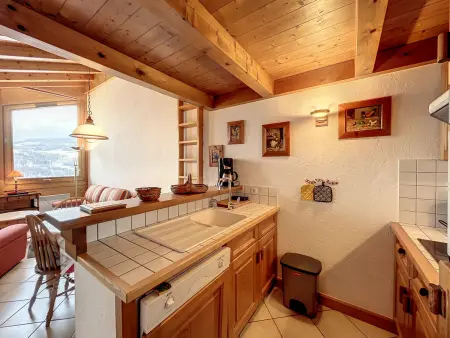 Appartement 3 pièces avec vue Mont Blanc à Combloux : photo 6