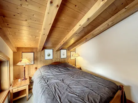 Appartement 3 pièces avec vue Mont Blanc à Combloux : photo 8