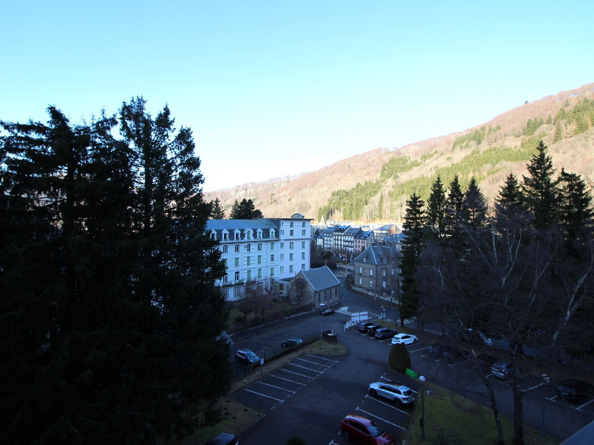 Appartement T2 34m² avec balcon à Mont-Dore - Photo 8