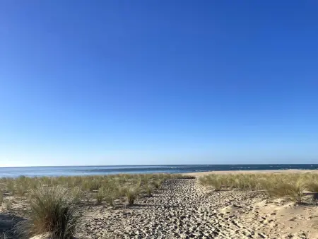 Villa 190 m² pour 16 personnes, vue Bassin à Cap Ferret : photo 6