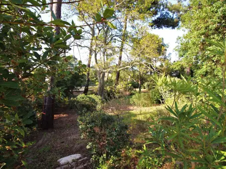Villa 190 m² pour 16 personnes, vue Bassin à Cap Ferret : photo 18