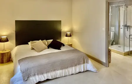 Mas De La Petite Folie, maison 12 personnes à Entrechaux : photo 39