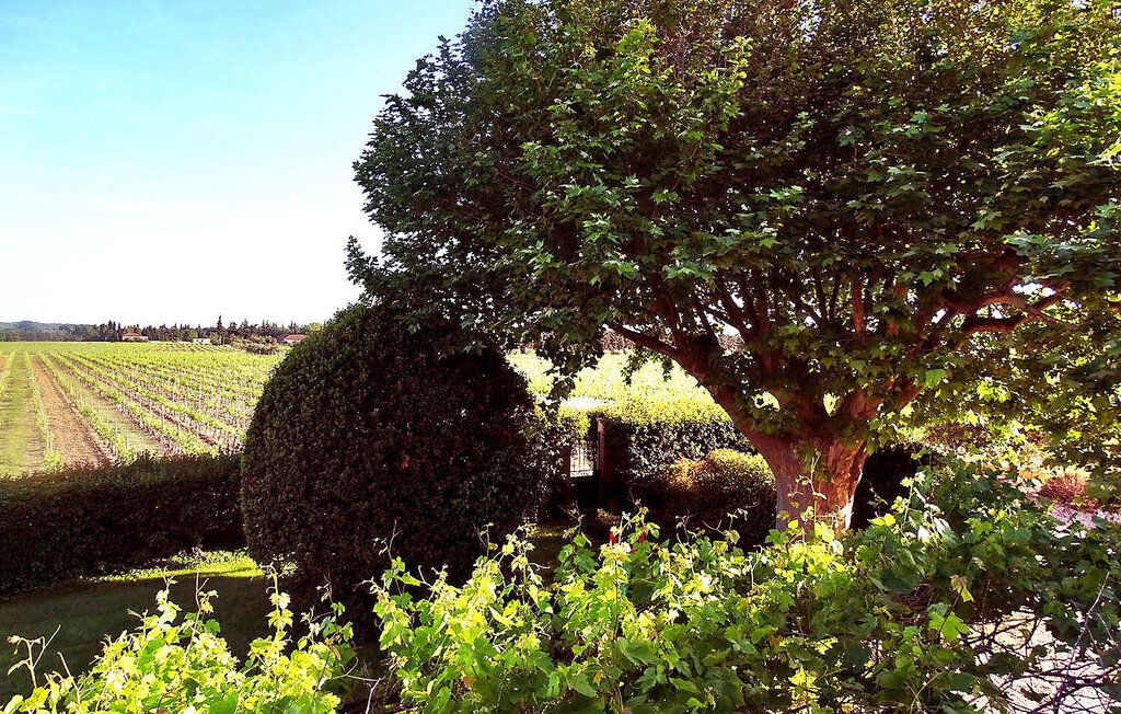 Le Mas De La Vigne, maison vigneronne avec piscine - Photo 15