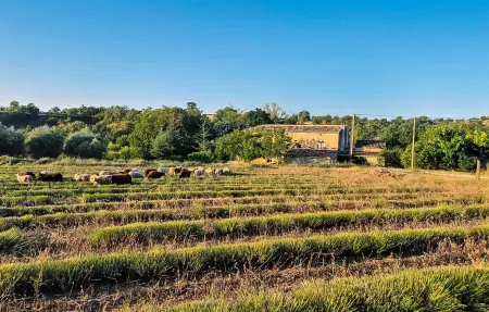 Le Mas : ferme 8 chambres avec piscine en Ardèche : photo 25