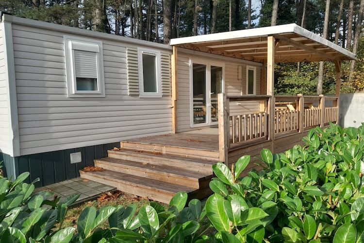 Chalet Breebos 3, parc boisé avec étang à Rijkevorsel - Photo 1