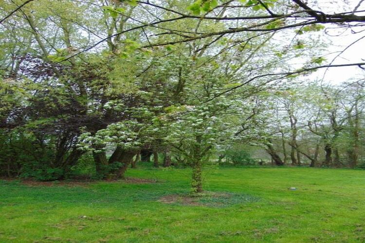 Chalet Breebos 3, parc boisé avec étang à Rijkevorsel - Photo 11