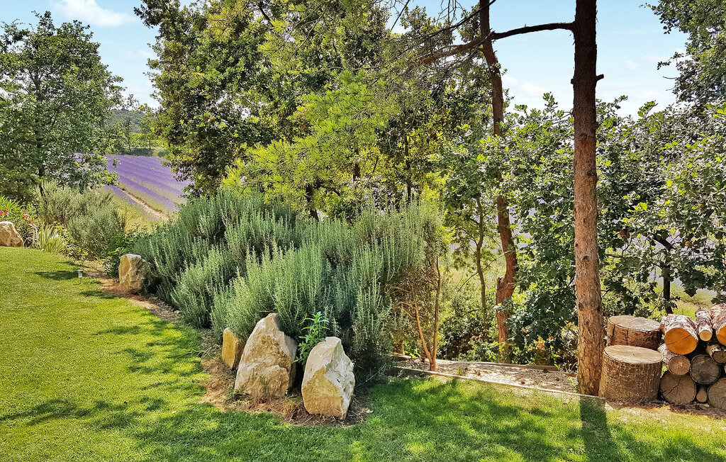 Mas provençal avec piscine privée à Montbrison sur Lez - Photo 11