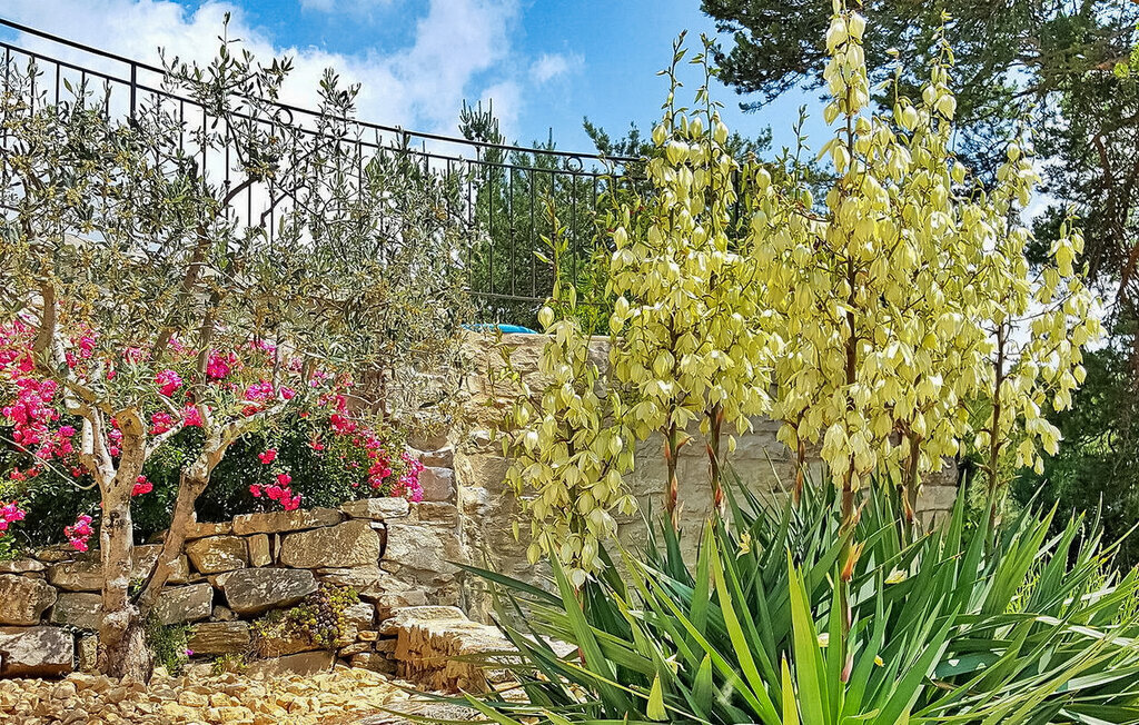 Mas provençal avec piscine privée à Montbrison sur Lez - Photo 18
