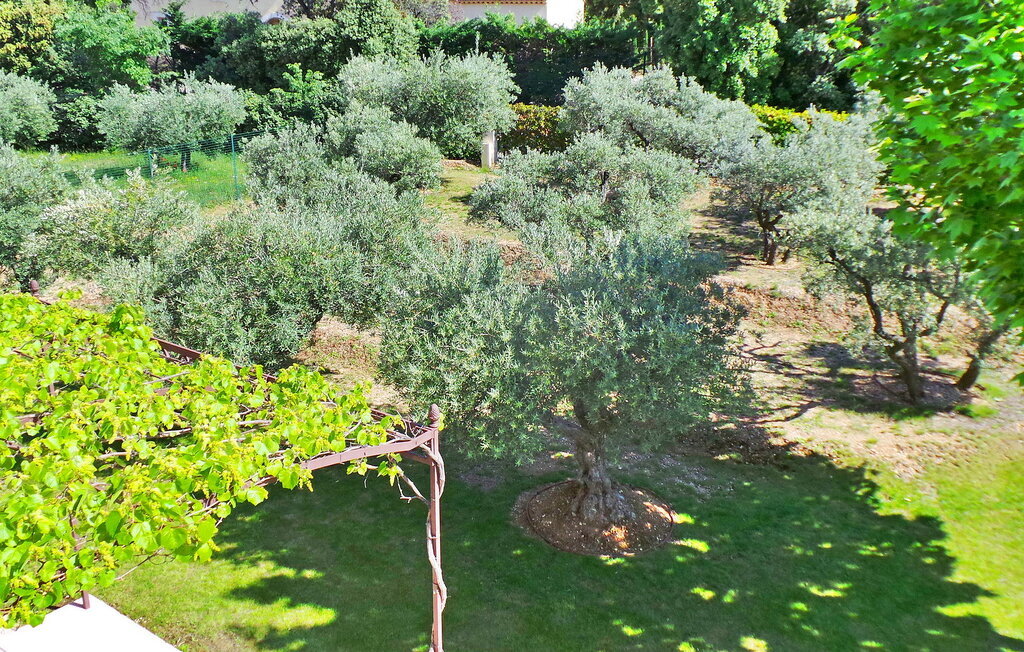La Bastide d'Eygalières – Maison 10 pers. piscine chauffée - Photo 9