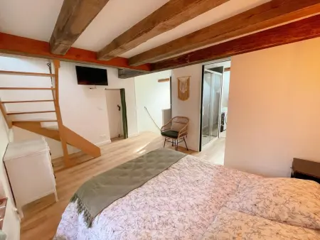 Cosy Gîte à Azay-le-Rideau avec Wifi, Clim, tout inclus, idéal pour 2 adultes et 2 enfants, proche châteaux - Photo 20