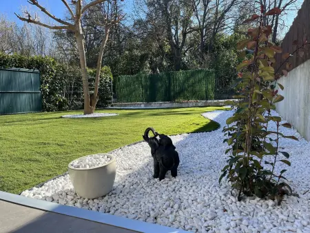 Appartement 2 pièces avec jardin privé à Poggio-Mezzana : photo 13