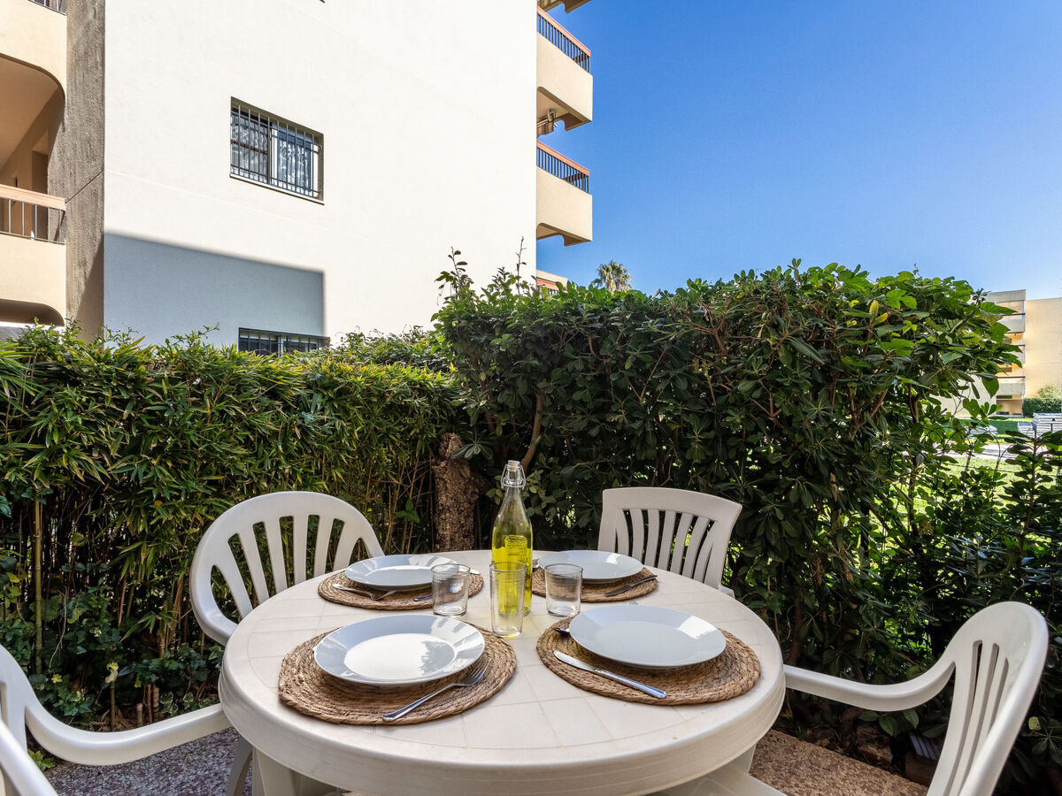 Apt 2 pièces 38 m² avec 2 terrasses au Lavandou - Photo 15