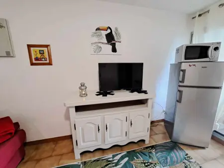 Appartement cosy 2 pièces - jardin privé, accès direct plage, animaux acceptés ! - Photo 4