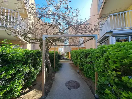 Appartement cosy 2 pièces - jardin privé, accès direct plage, animaux acceptés ! - Photo 14