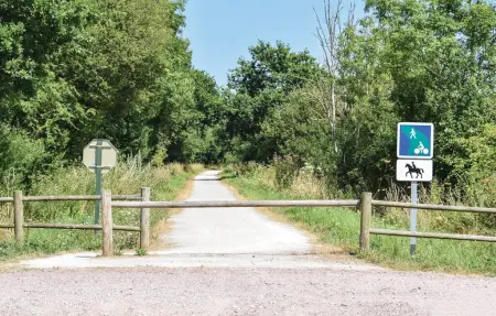 Ancien presbytère en pierre à Appeville, 7 personnes : photo 34