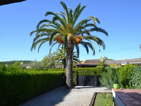 Maison avec Jardin, Terrasse et Piscine Commune à 3 km de la Plage à L'Estartit - Photo 12