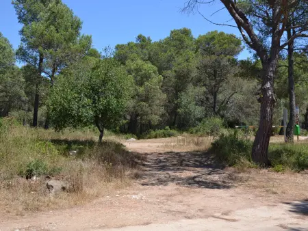 Casa Atenas – Maison 4 pers. face à la forêt, L'Estartit - Photo 21