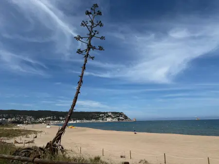 Appartement Calella 4 à L'Estartit, face à la mer et animaux acceptés : photo 27