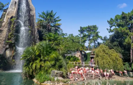 Maison 8 personnes à Royan - Photo 24