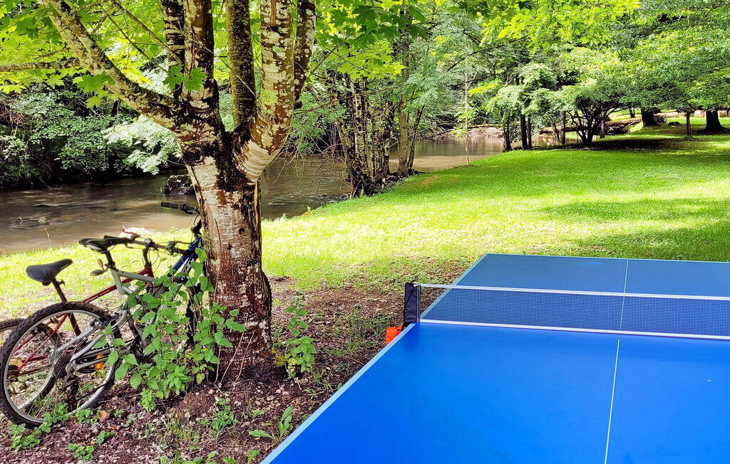 La Vieille Forge – Maison 8 pers. piscine privée - Photo 22