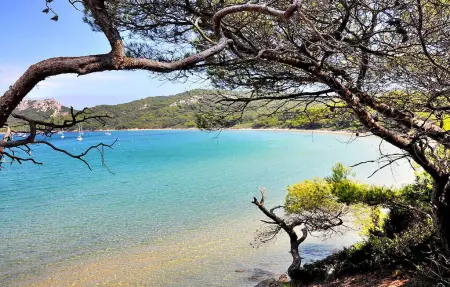 Villa avec jacuzzi et vue sur les îles à Hyères : photo 19