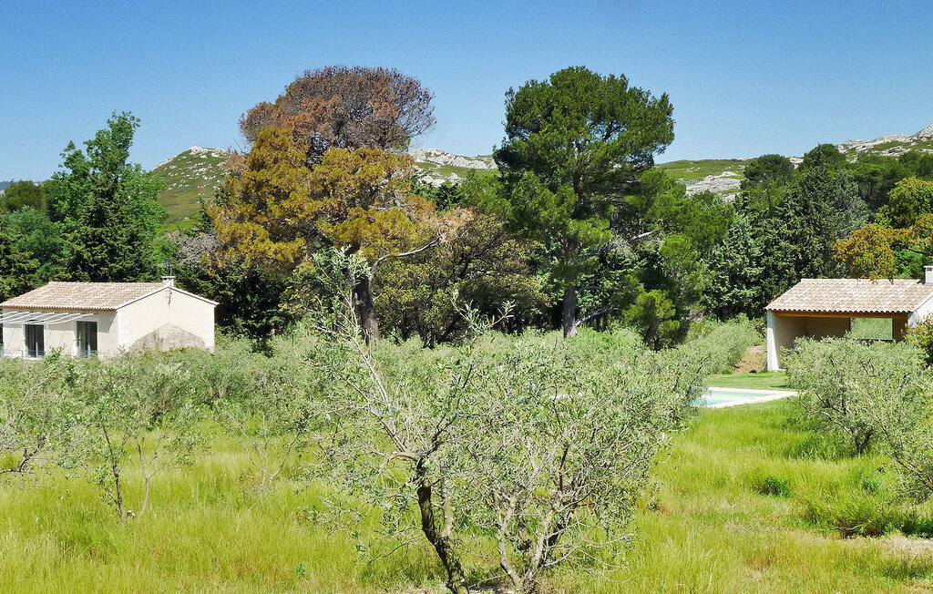 Le Cabanon, maison dans une oliveraie avec piscine - Photo 2