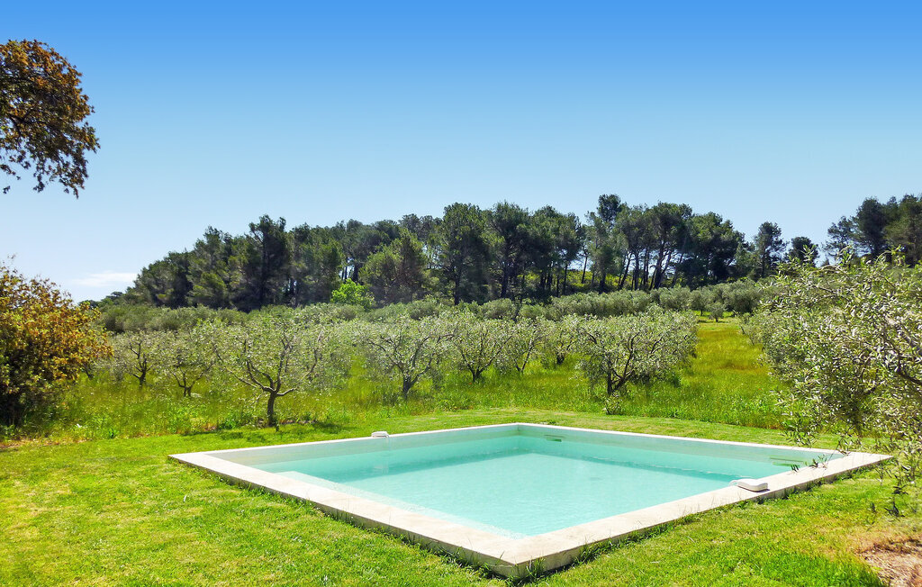 Le Cabanon, maison dans une oliveraie avec piscine - Photo 4