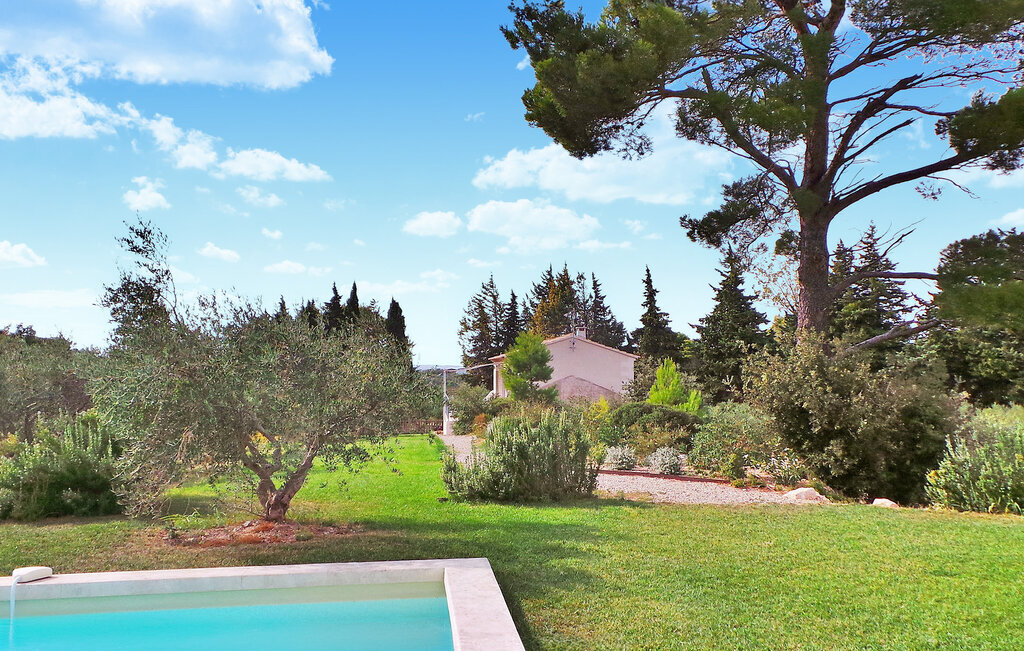 Le Cabanon, maison dans une oliveraie avec piscine - Photo 10