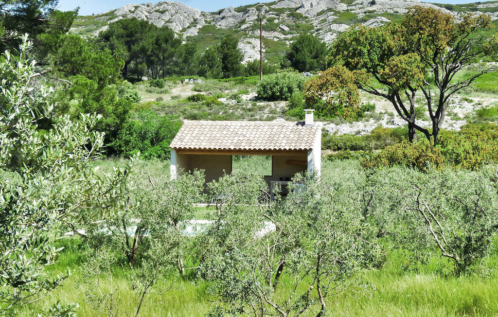 Le Cabanon, maison dans une oliveraie avec piscine - Photo 11