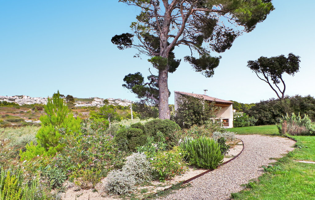 Le Cabanon, maison dans une oliveraie avec piscine - Photo 14