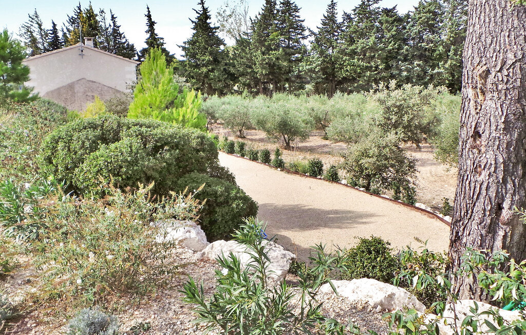 Le Cabanon, maison dans une oliveraie avec piscine - Photo 21