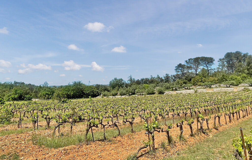 Lou Cabe Roma – Maison vignobles Carcès, piscine - Photo 9