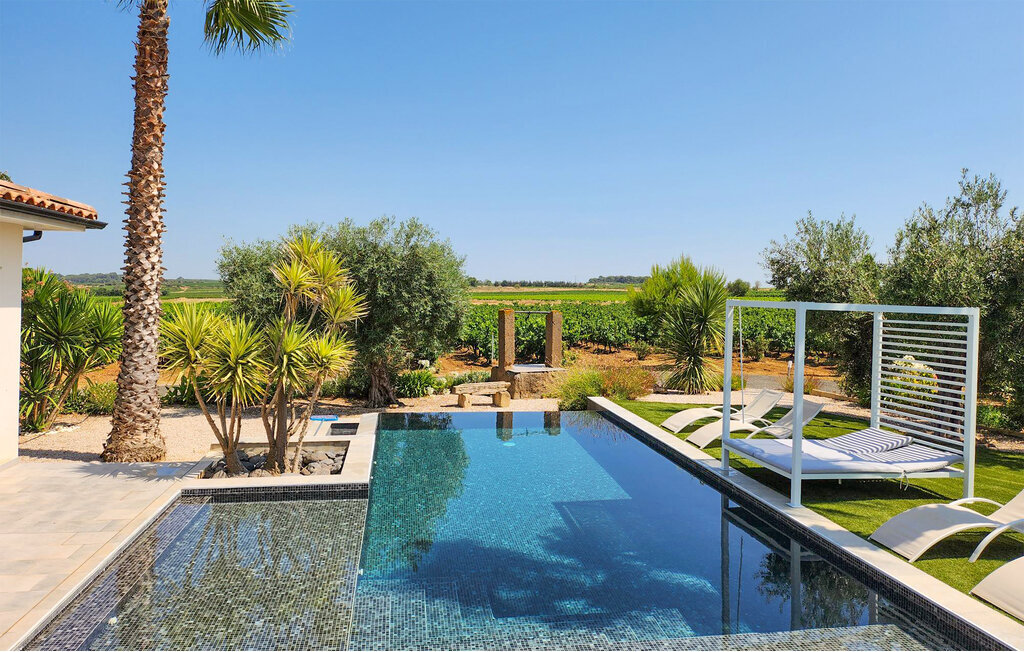 Maison contemporaine avec piscine 11x6m en vignoble - Photo 1
