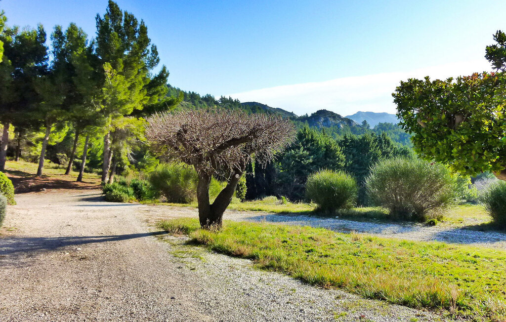 Mas De Baubesse, ferme provençale avec piscine chauffée - Photo 15