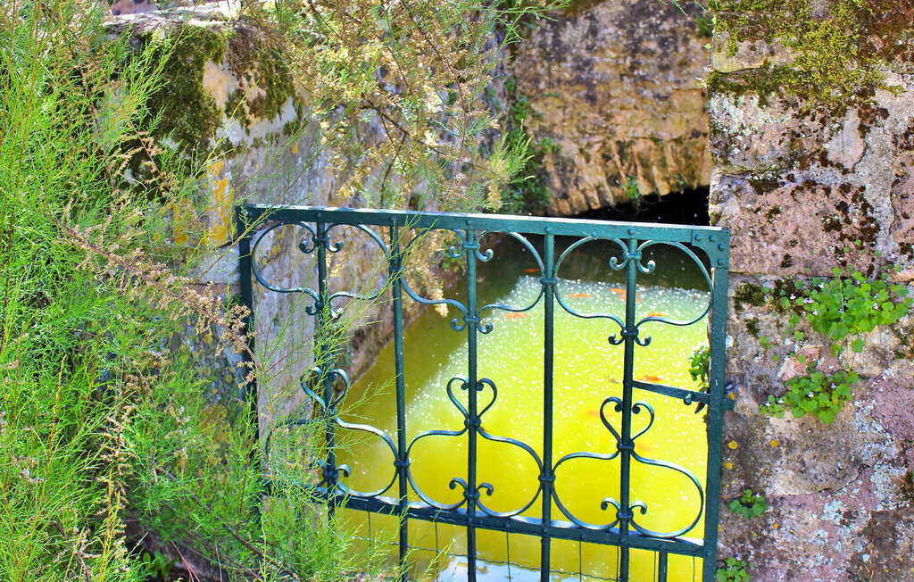 Le Clos Des Vigie, maison Périgord Noir avec piscine - Photo 23