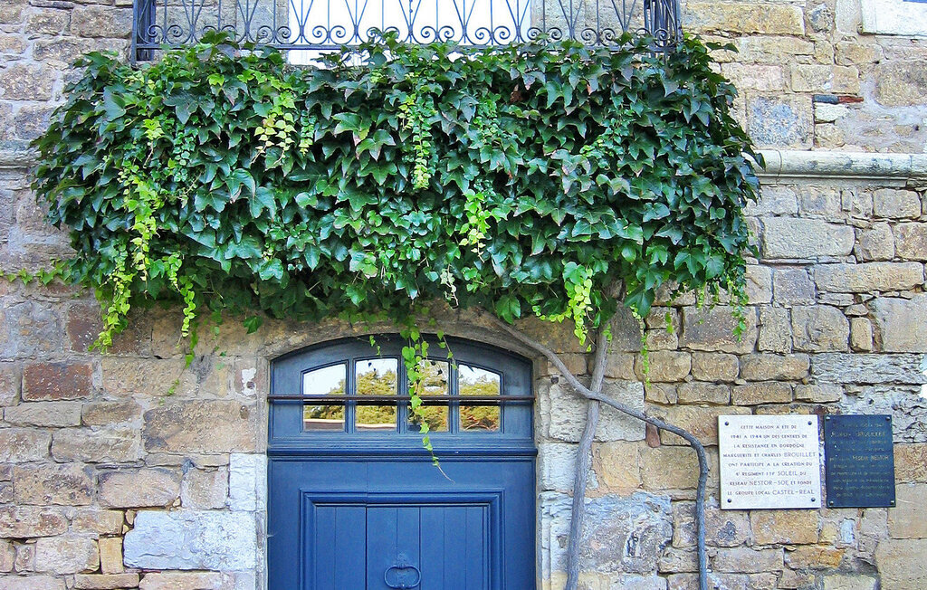 Château de Siorac, 5 chambres et piscine privée - Photo 14