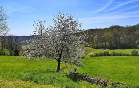 L'Ostalet : maison en pierre pour 2 à Saint Cyprien : photo 11