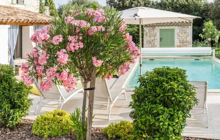 Mazet Solaris, Maison 8 personnes à Orgnac l'Aven - Photo 4
