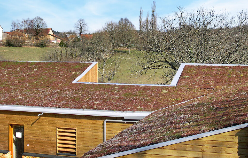 Maison en bois du Périgord, 11 hectares et piscine chauffée - Photo 11