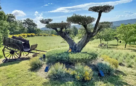 La Bastide de Rocquejeanne, maison 10 pers. à Murs : photo 19