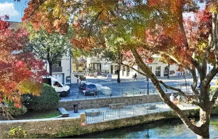 Le Loft De La Sorgue, vue sur la rivière : photo 13