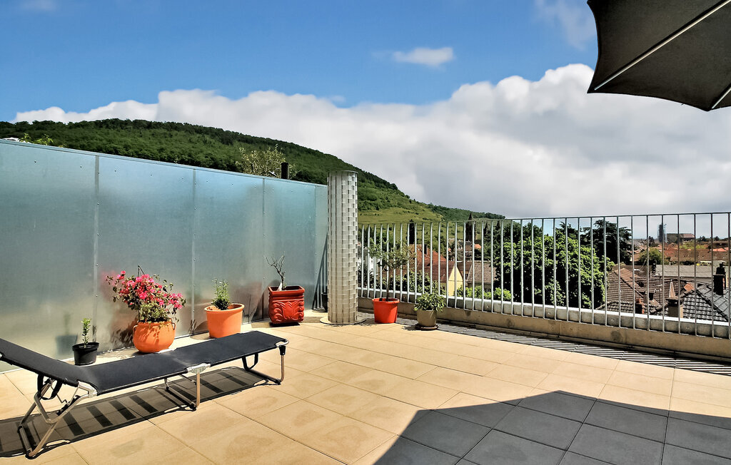 Loft 50/60 : Appartement avec terrasse vue vignoble - Photo 4