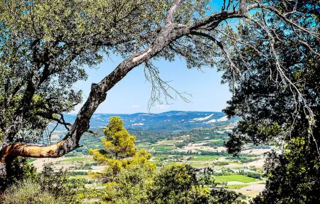 Mani Péréal, Maison 10 personnes à Saint Saturnin les Apt - Photo 23